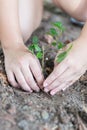 Tree planting growing on soil in girl child's hand for saving world environment, tree care, arbor day,Tu Bishvat Royalty Free Stock Photo