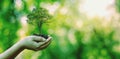 Tree planting on volunteer family's hands for eco friendly and corporate social responsibility campaign concept Royalty Free Stock Photo