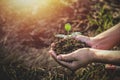 Tree planting on volunteer family& x27;s hands for eco friendly and corporate social responsibility campaign concept Royalty Free Stock Photo