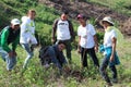 Tree Planting