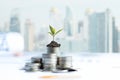 The tree plants growing on money coin stack for investment,  business newspaper with financial report on desk of investor real est Royalty Free Stock Photo