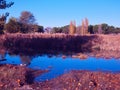 Tree plants park autumn green branch colors spain water Royalty Free Stock Photo