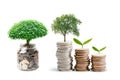 Tree plumule leaf on save money coins, Business finance saving banking investment concept