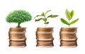 Tree plumule leaf on save money stack coins, Business finance saving banking investment