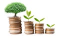 Tree plumule leaf on save money stack coins, Business finance saving banking investment concept