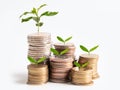 Tree plumule leaf on save money stack coins, Business finance saving banking investment concept