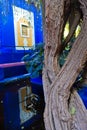 Tree, pond and a decorated blue wall at sunset in Majorelle garden, Marrakech, Morocco Royalty Free Stock Photo