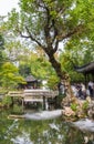 Tree at the pond in the humble administrators garden in Suzhou Royalty Free Stock Photo