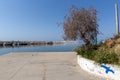 Tree at the port of Limenaria, Thassos island, Greece