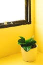 Tree pot on yellow painted wall, interior decoration