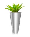 Tree pots isolated on white background. Fern vase decoration for office or house plant. Clipping path