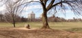 Tree in Prospect Park in Brooklyn, New York city.