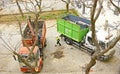 Tree pruning in Barcelona