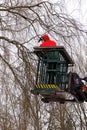 Tree pruning, lumberjack with a chainsaw on an elevated work pl Royalty Free Stock Photo