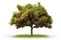 Tree of red delicious sweet and juicy apples. Royalty Free Stock Photo