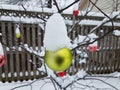 Tree with red and yellow Christmas ornaments and snow Royalty Free Stock Photo