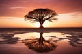 a tree is reflected in a puddle of water at sunset Royalty Free Stock Photo
