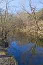 Tree reflection at Brushy Creek Regional Trail