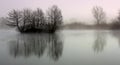 Tree reflection on lake Royalty Free Stock Photo