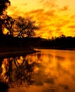 Tree reflection in lake at sunset Royalty Free Stock Photo