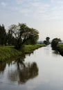 Tree reflection in river