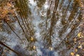 Tree reflection river Royalty Free Stock Photo