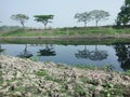 tree reflection river view awsome Royalty Free Stock Photo