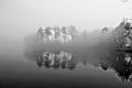 Tree reflection on Yates Mill Pond Raleigh NC Royalty Free Stock Photo