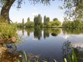 Tree reflections over a clear lake Royalty Free Stock Photo