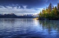 Tree reflections in the Turnagain Arm Royalty Free Stock Photo