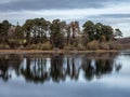 Tree Reflections at Vartry Reservoir in Late Autumn