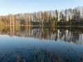 Tree reflections in water, early spring landscape Royalty Free Stock Photo