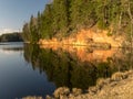 Tree reflections in water, early spring landscape Royalty Free Stock Photo