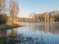 Tree reflections in water, early spring landscape Royalty Free Stock Photo