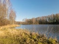 Tree reflections in water, early spring landscape Royalty Free Stock Photo