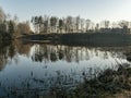 Tree reflections in water, early spring landscape Royalty Free Stock Photo