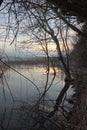 Tree reflections on water