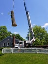 Tree Removal.