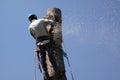 Tree Removal Jobs Royalty Free Stock Photo