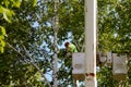 Tree removal using a boom bucket