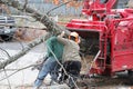 Tree removal and worker moving tree trunk to grinding machine