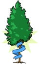 Tree with Ribbon Royalty Free Stock Photo