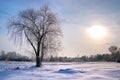 Tree in rime