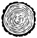 Tree-ring illustration