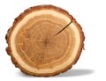 Tree Ring