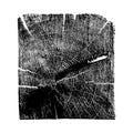 Tree ring, log, wood trunk. Rectangle shape. Black and white. Silhouette. Royalty Free Stock Photo