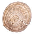 Tree rings