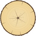 Tree rings.