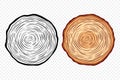Tree Rings, Oak and Pine Slices, Lumber, and Timber Cross Section with Saw Cut Detail. Tree Trunk, Wood Log, Pine, Oak