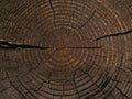 Tree rings old weathered wood texture with the cross section of a cut log Royalty Free Stock Photo